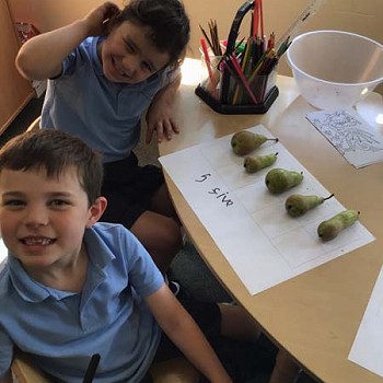 Children counting how many fruits they have collected